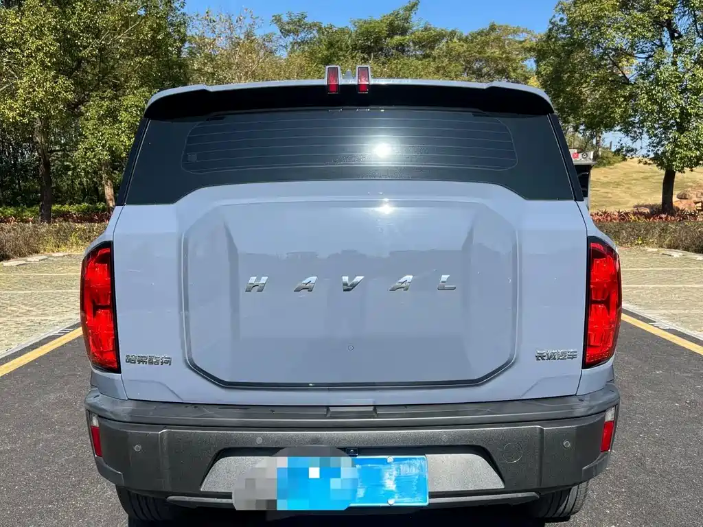 Haval Cool Dog — миниатюра 9