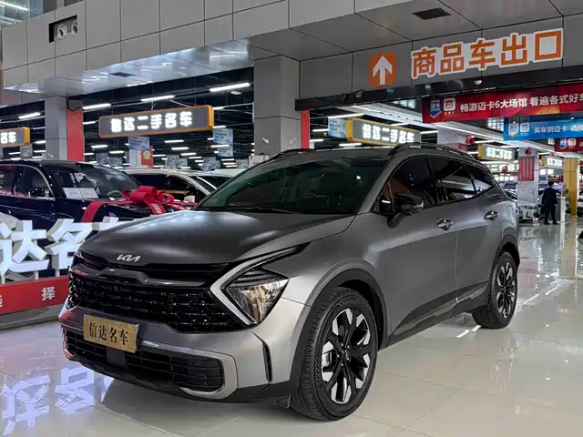 kia lion-platinum-expands-the-world