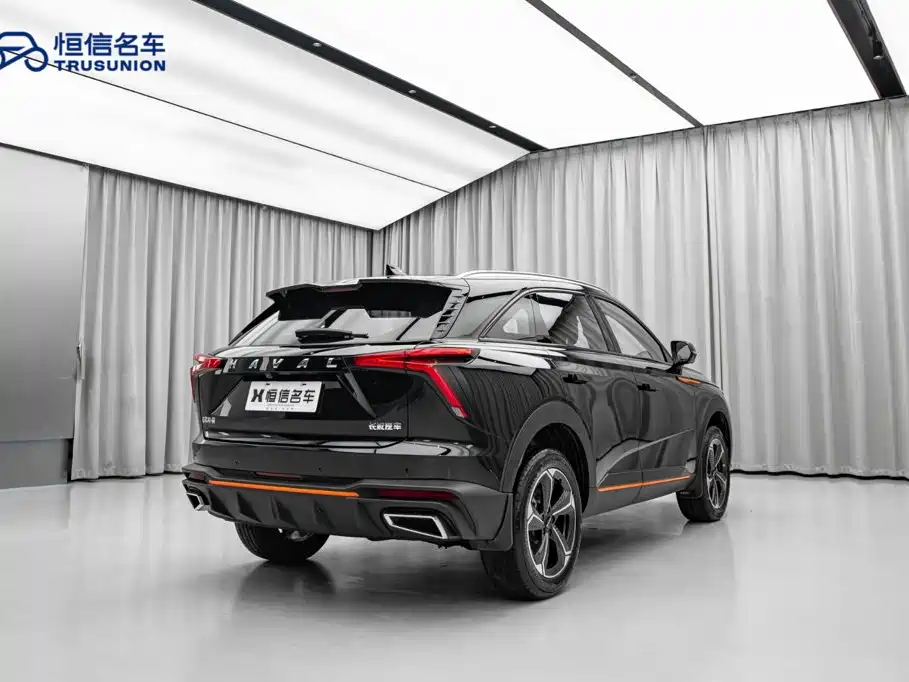 Haval Shenshou — миниатюра 9