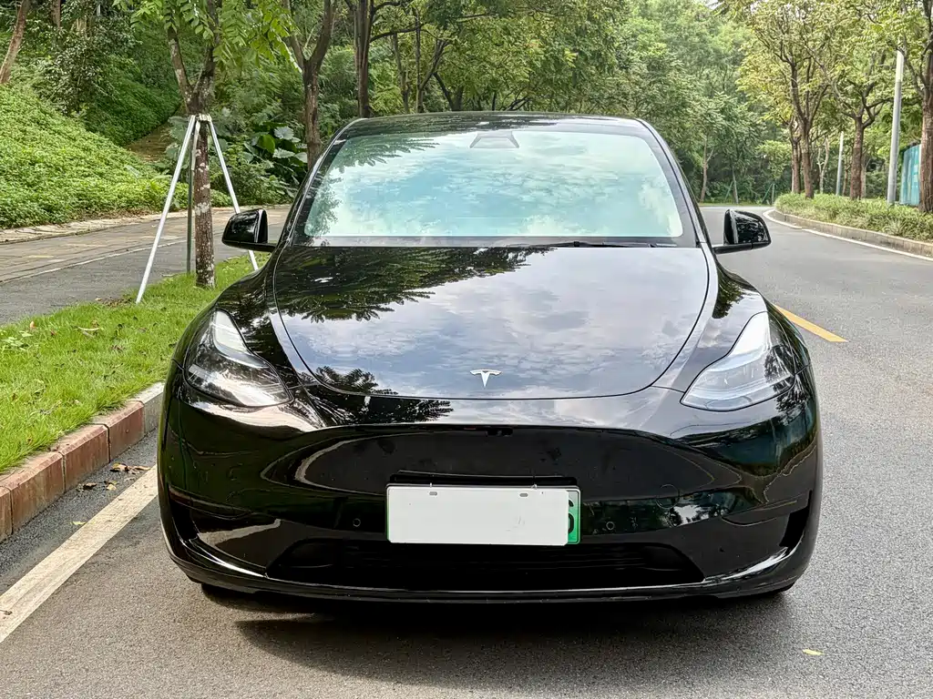 Tesla Model Y — миниатюра 3