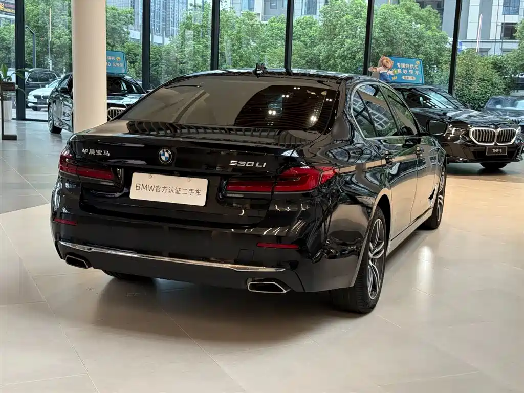 BMW 5 Series — миниатюра 8