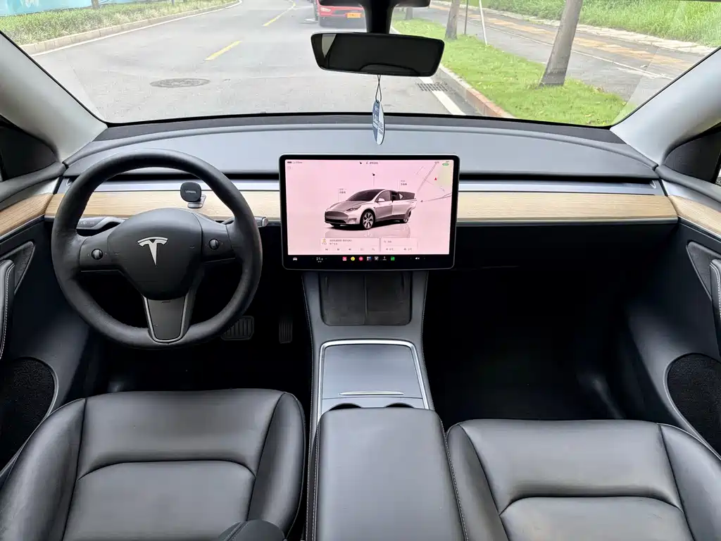 Tesla Model Y — миниатюра 6