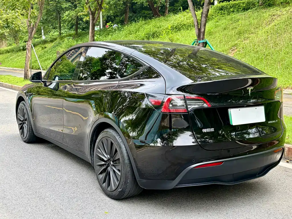 Tesla Model Y — миниатюра 7