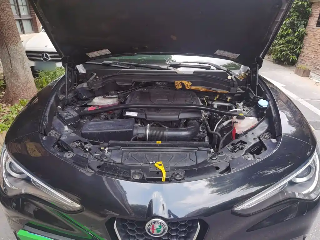 Alfa Romeo Stelvio — миниатюра 11