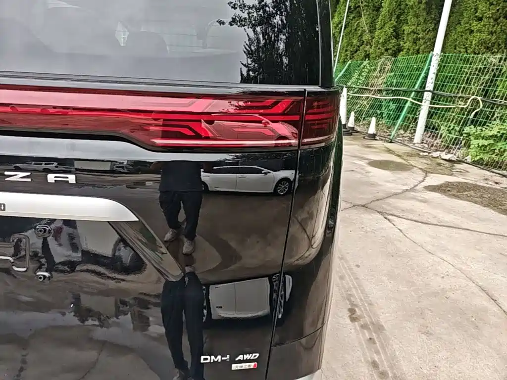 Denza Denza D9 — миниатюра 8