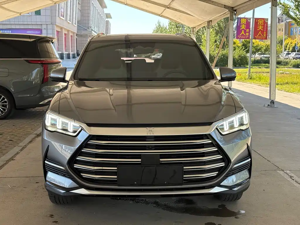 BYD Pro New Energy — миниатюра 2