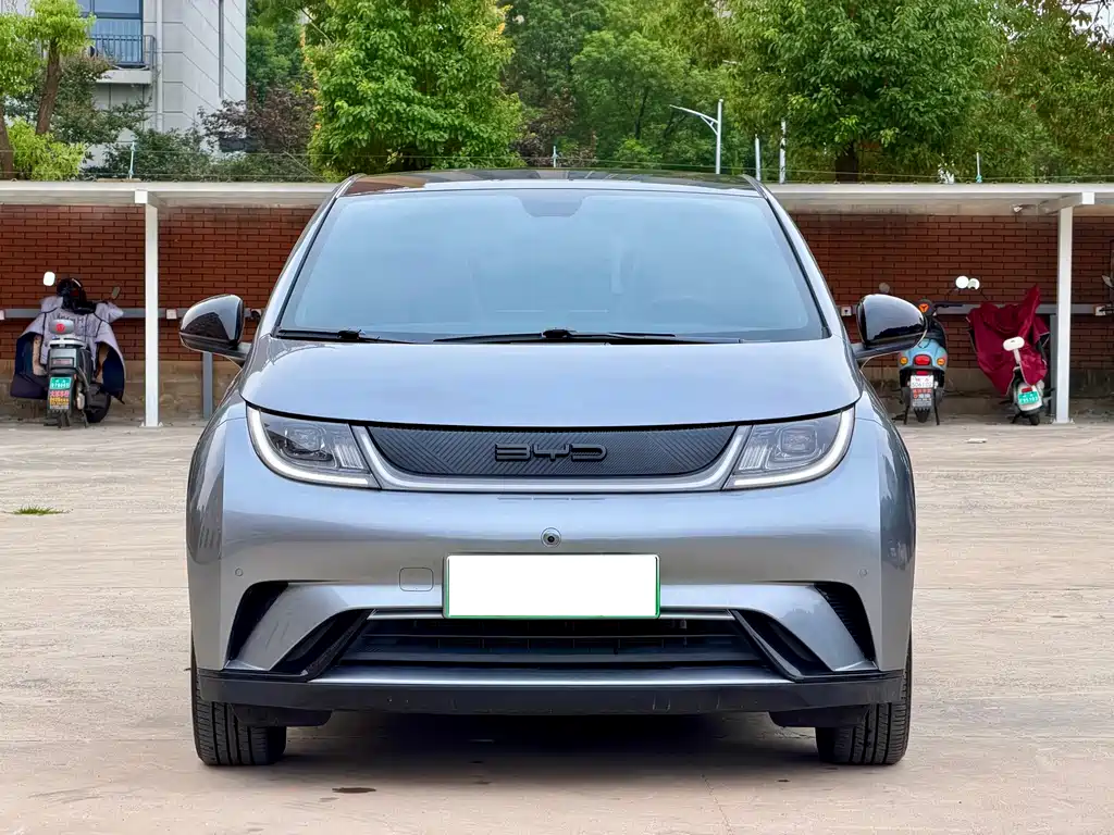 BYD Dolphin — миниатюра 2
