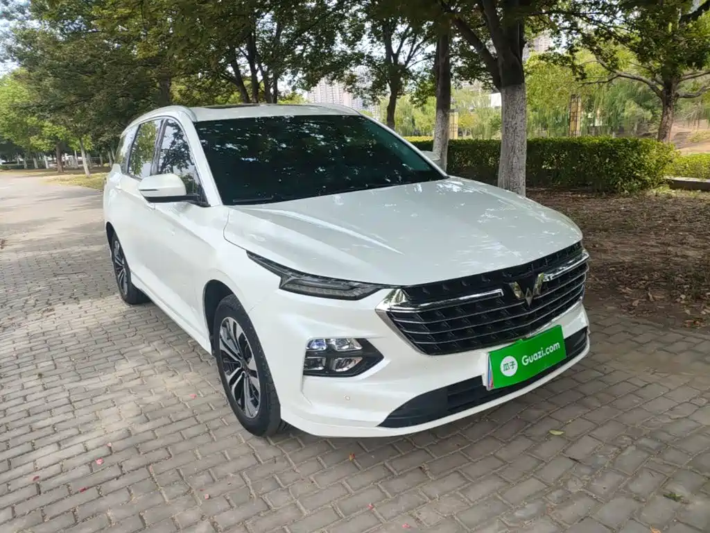 Wuling Victory — миниатюра 4