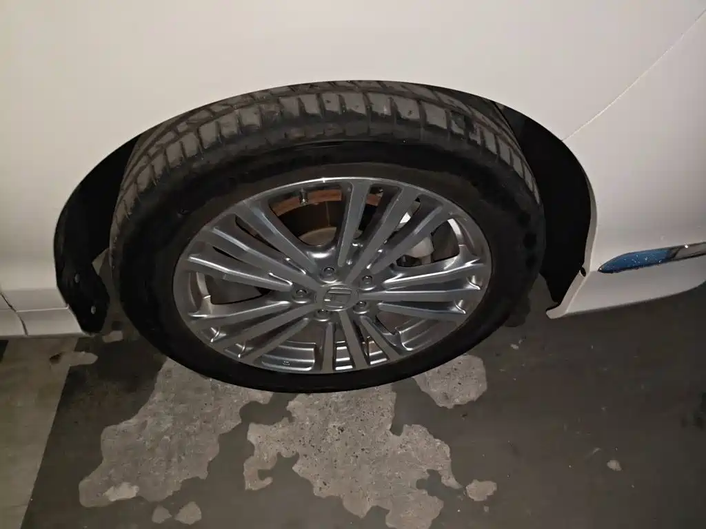 Honda Elysion — миниатюра 24