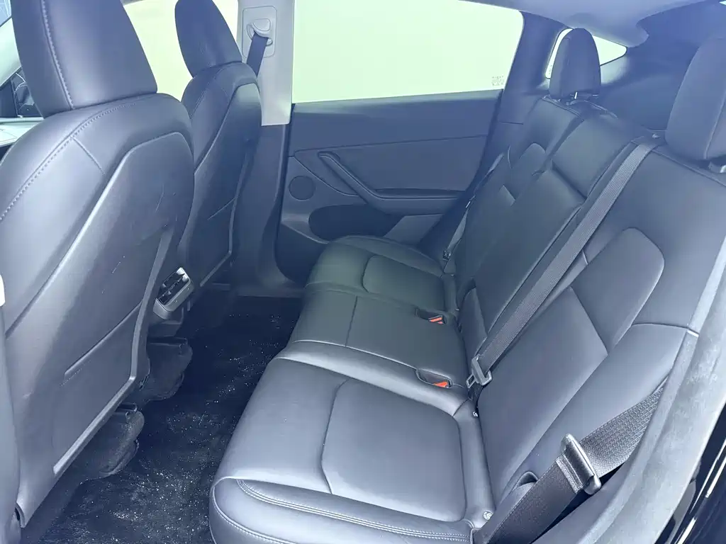 Tesla Model Y — миниатюра 19