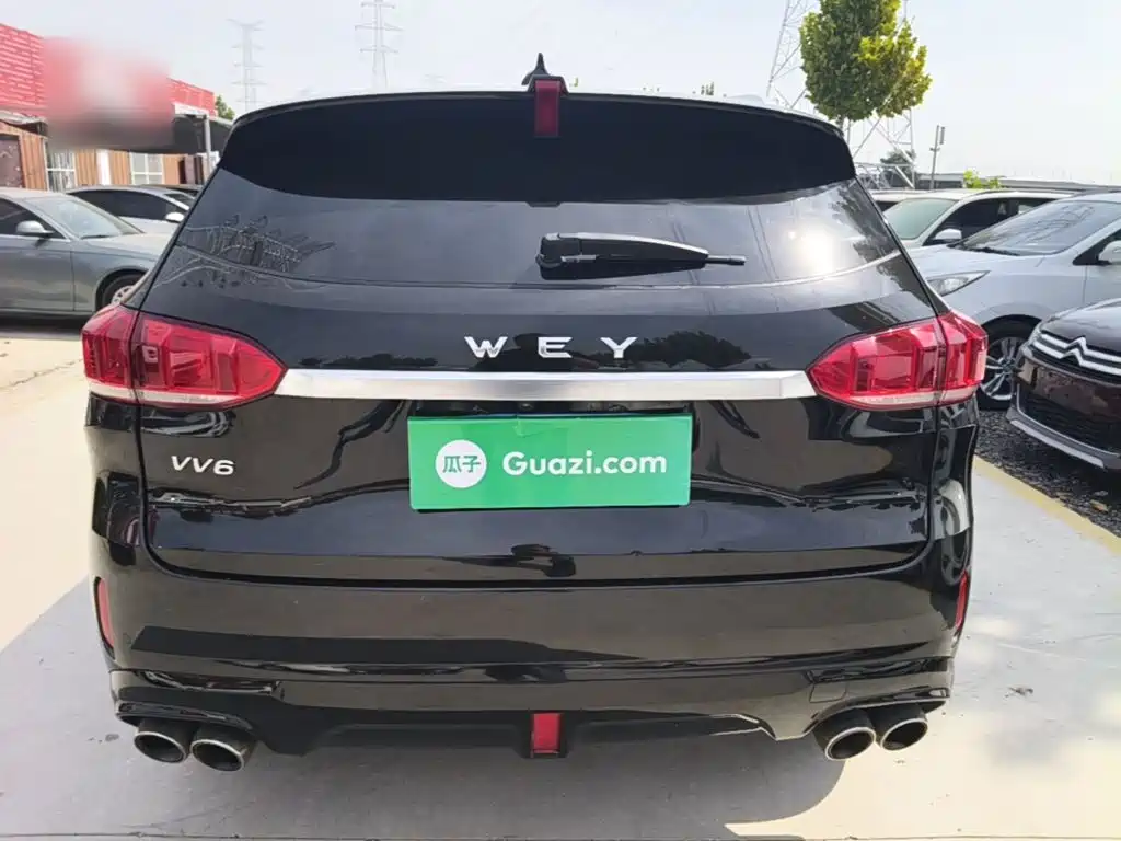 Wey Wey VV6 — миниатюра 6