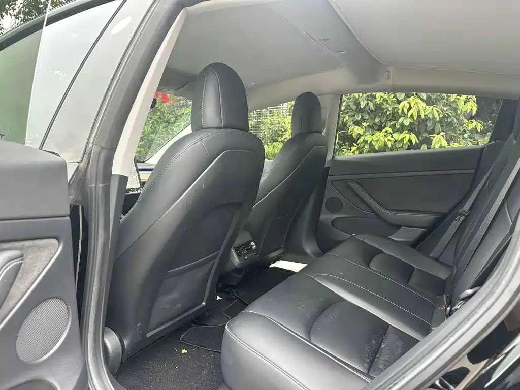 Tesla Model 3 — миниатюра 4