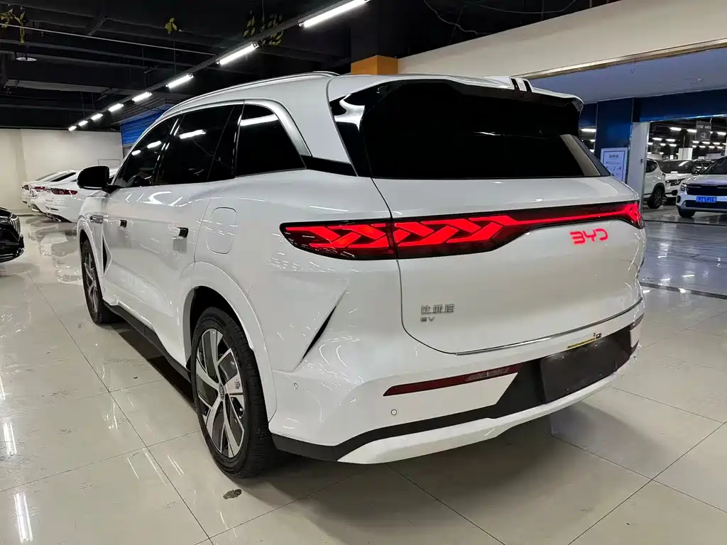BYD Дон Л. — миниатюра 8