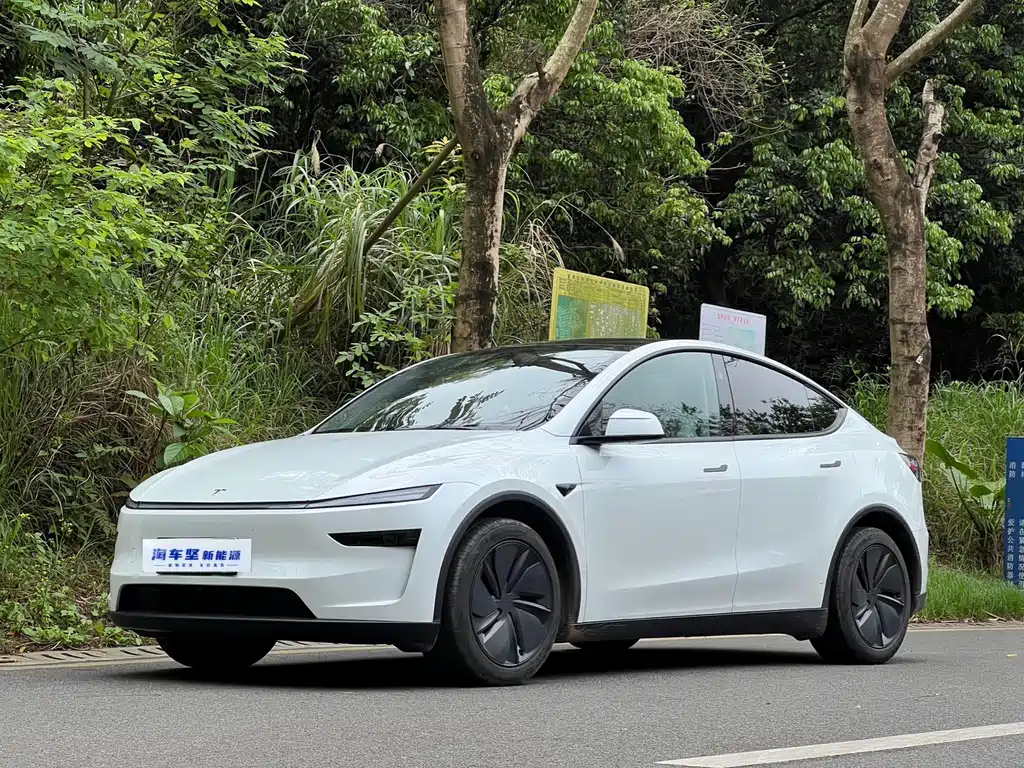 Tesla Model Y 2025