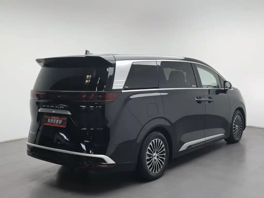 Denza Denza D9 — миниатюра 2