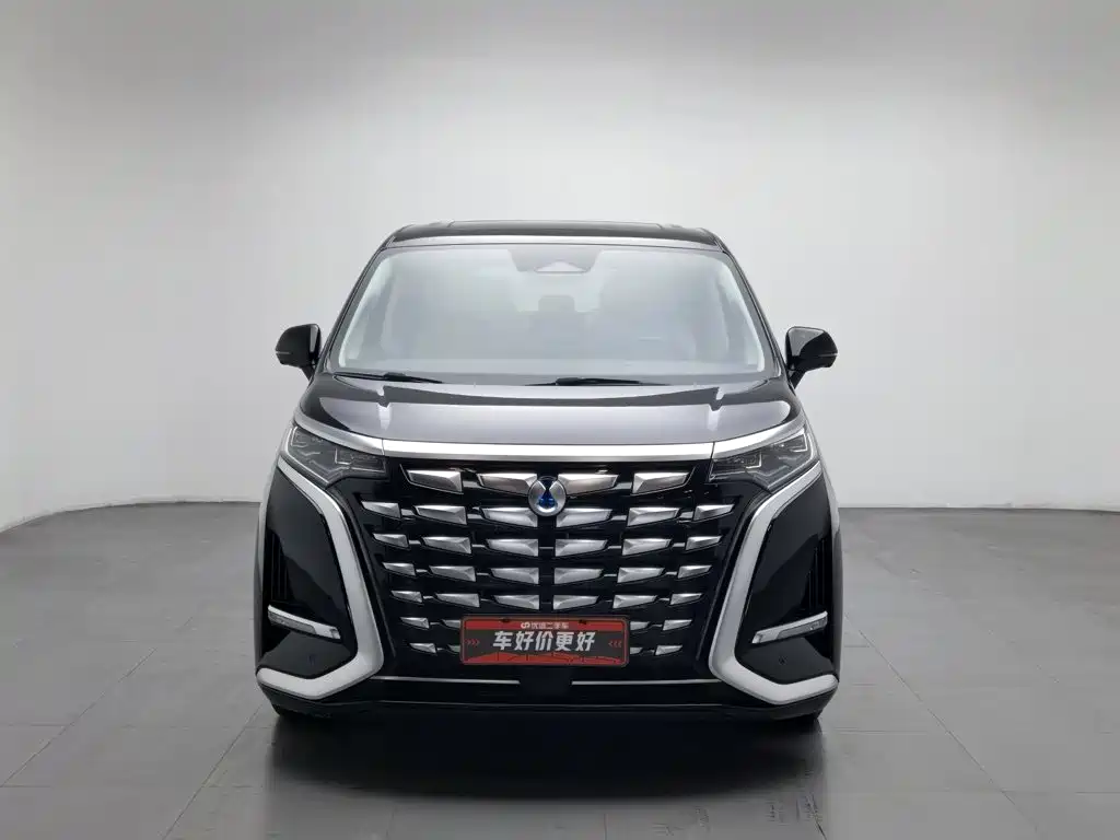 Denza Denza D9 — миниатюра 3