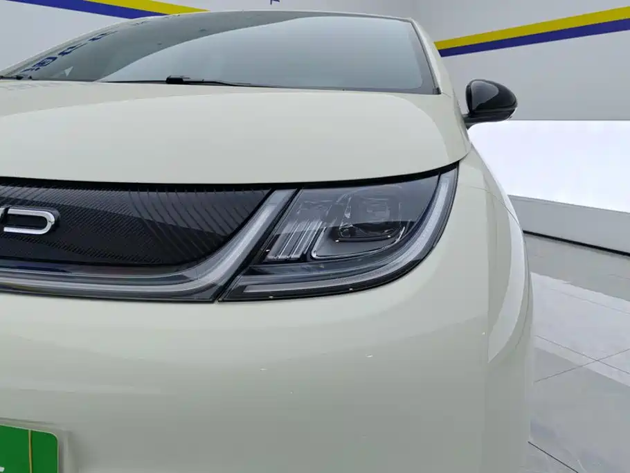 BYD Dolphin — миниатюра 5