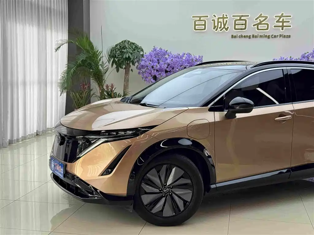 Nissan Ariya — миниатюра 2