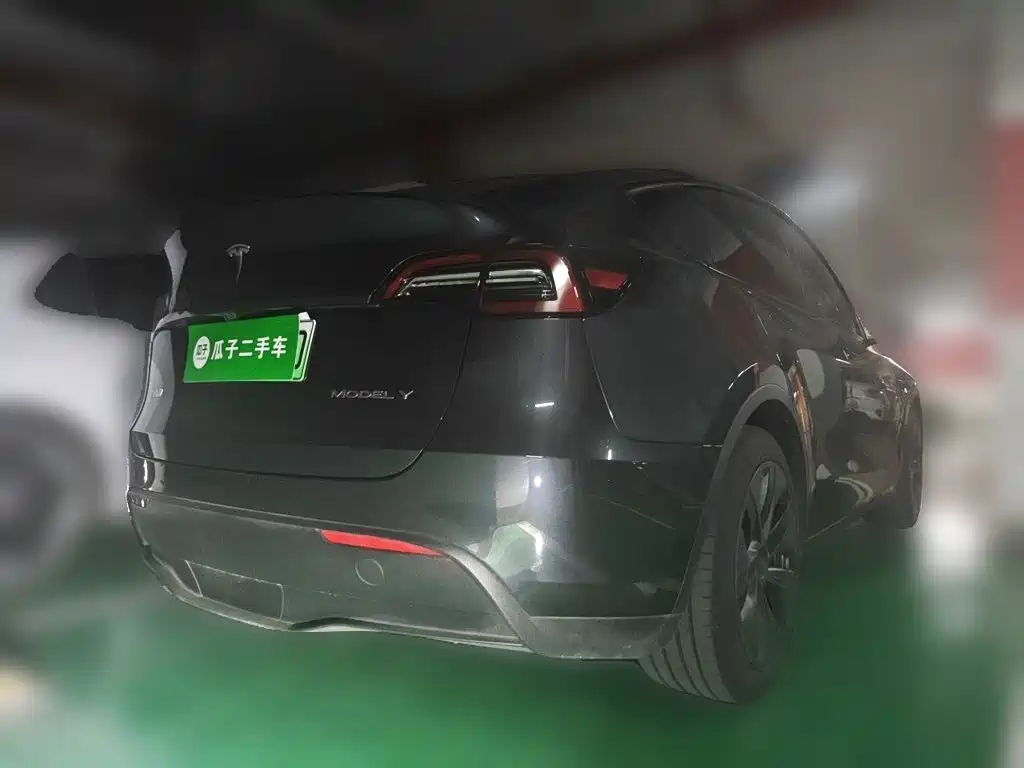 Tesla Model Y — миниатюра 3