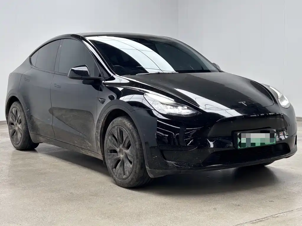 Tesla Model Y — миниатюра 3
