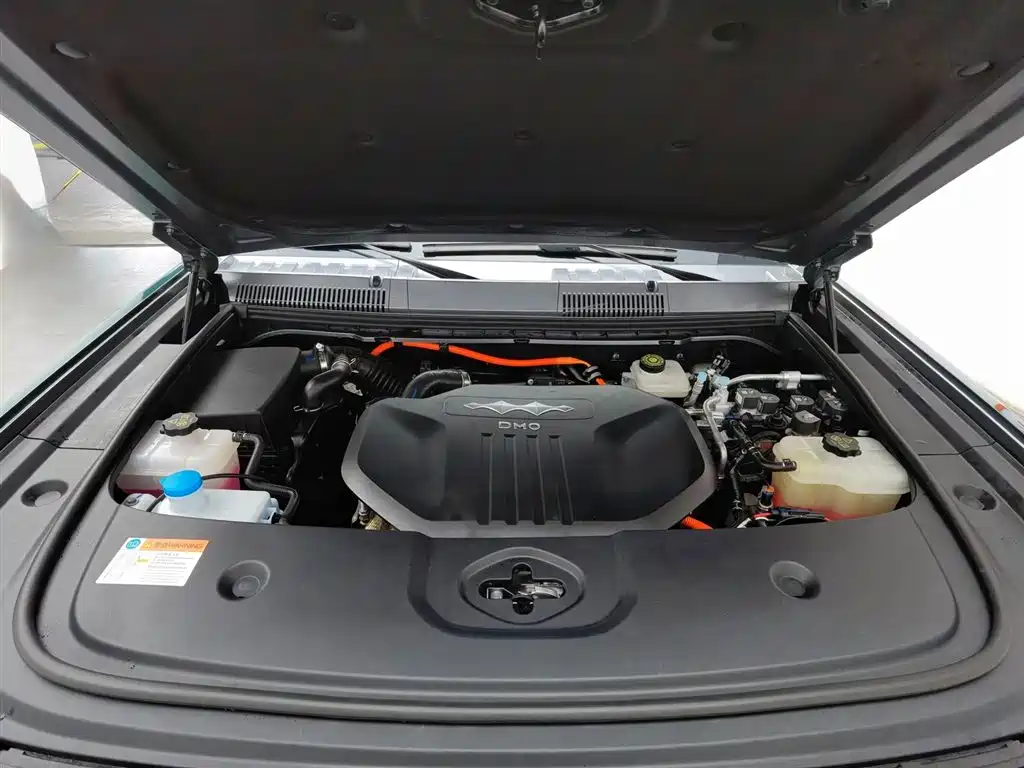 FANG CHENG BAO LEOPARD 5