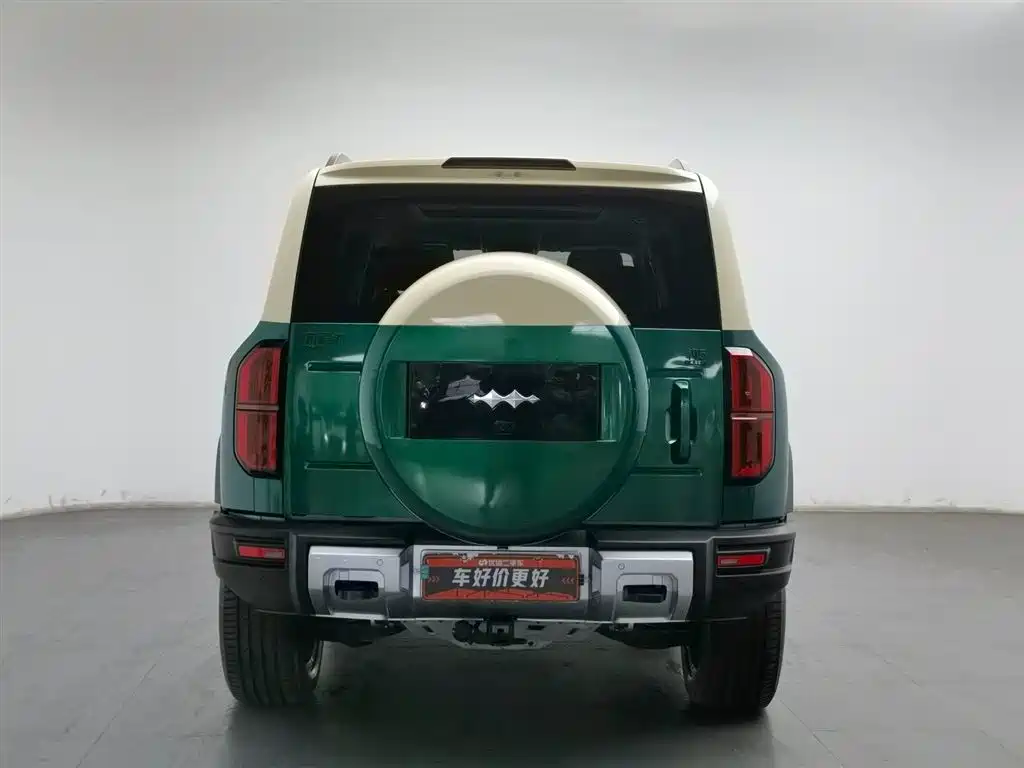 FANG CHENG BAO LEOPARD 5