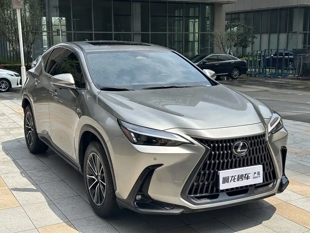 Lexus NX 2025 200 FUN