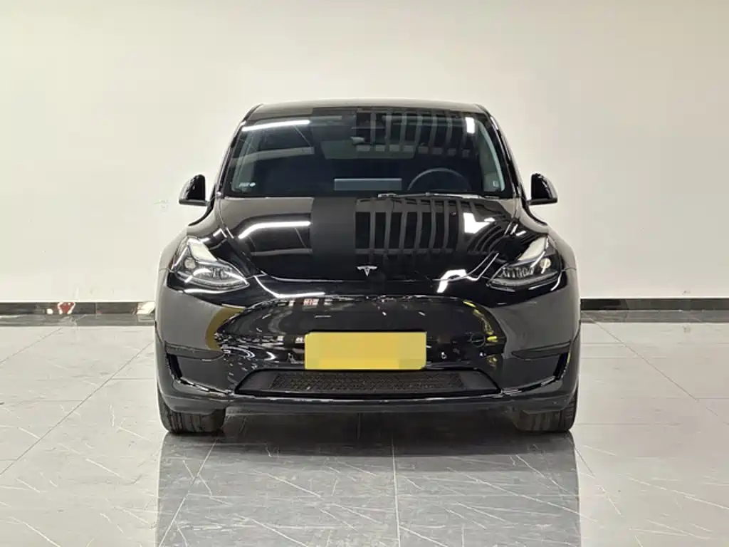Tesla Model Y — миниатюра 2