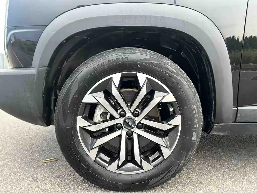 Haval Big Dog — миниатюра 17