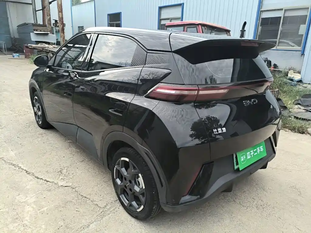 BYD Seagull — миниатюра 5