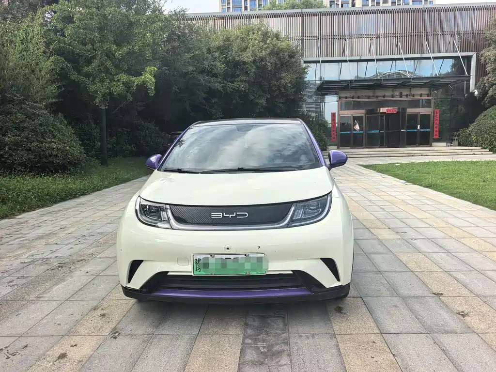 BYD Dolphin — миниатюра 2