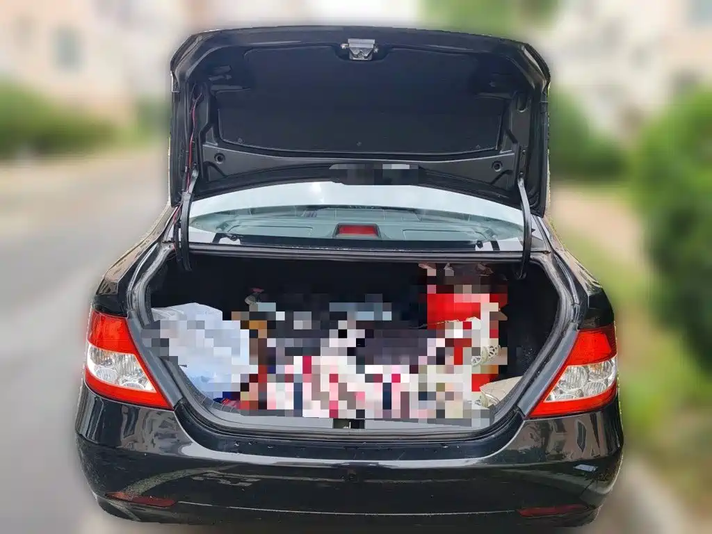 BYD F3 — миниатюра 20