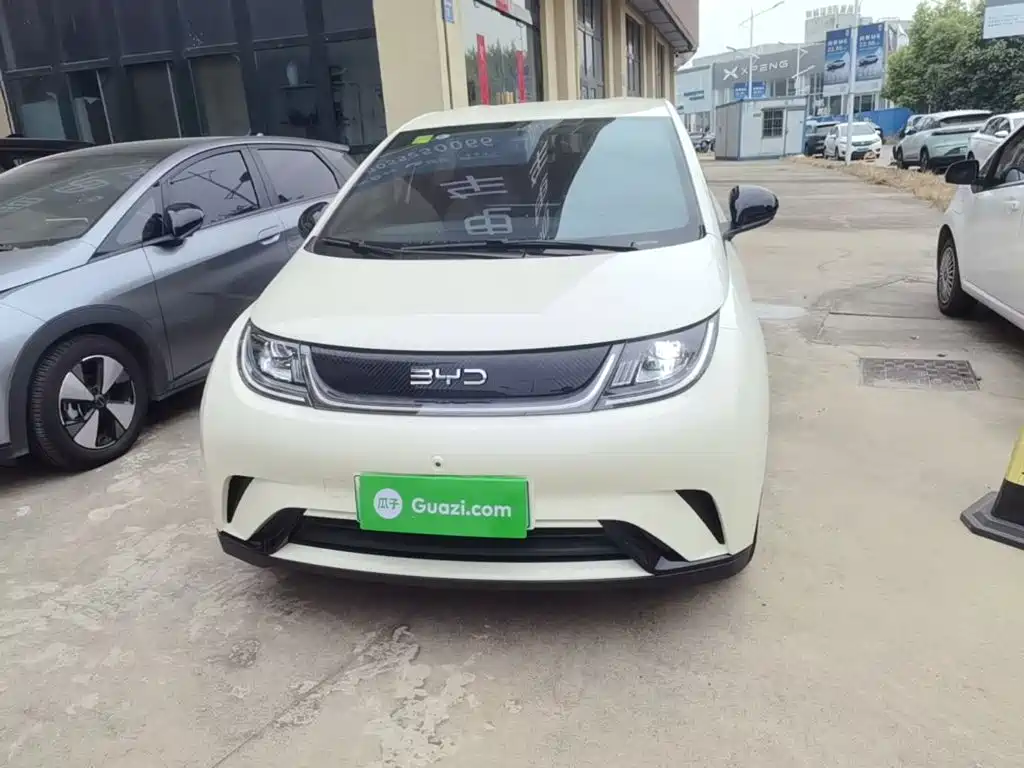 BYD Dolphin — миниатюра 3