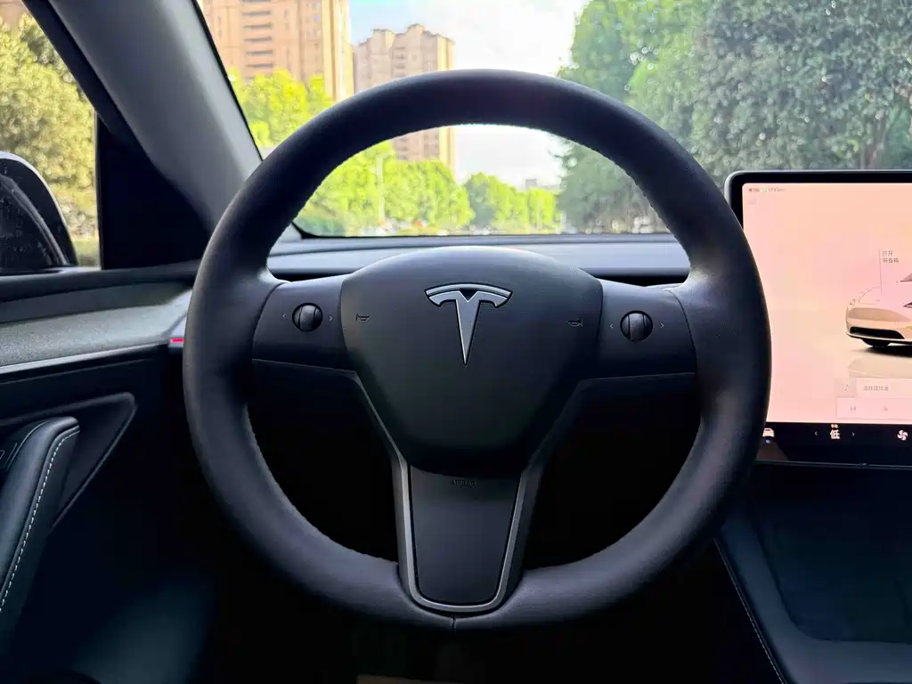 Tesla Model Y — миниатюра 14