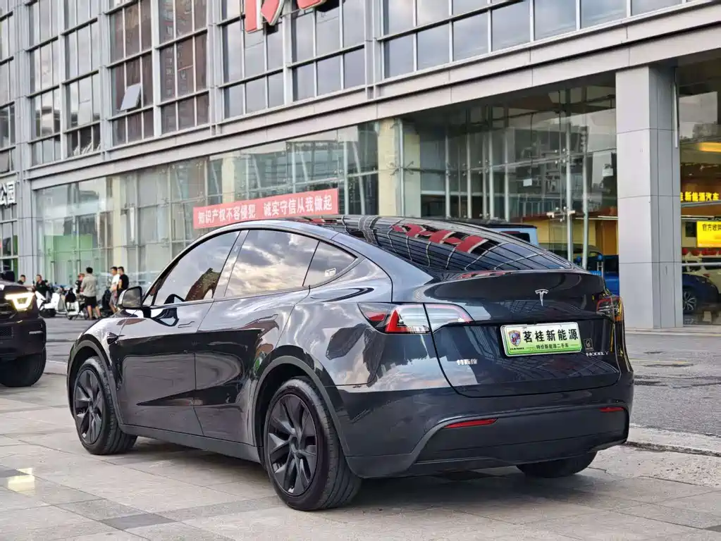 Tesla Model Y — миниатюра 5