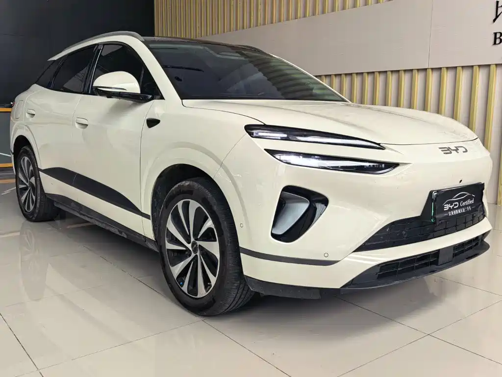 BYD Haisi 06 — миниатюра 3