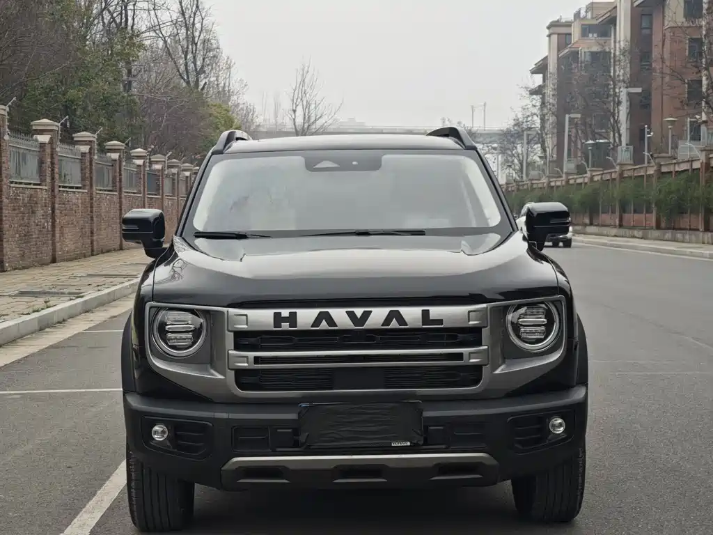 HAVAL BIG DOG