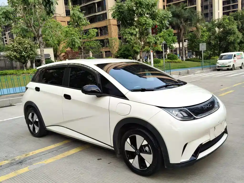 BYD Dolphin - фото 2