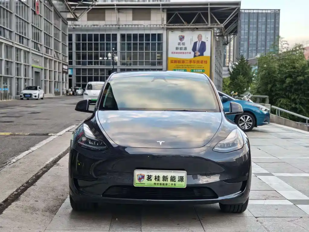 Tesla Model Y — миниатюра 2