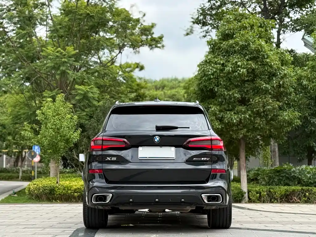 BMW X5 2022 xDrive 30Li M Sport