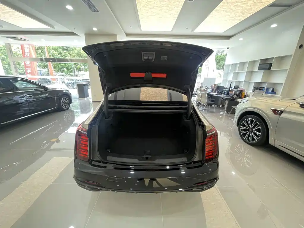 Hongqi Hongqi H9 — миниатюра 11