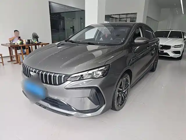 2024 Geely Binrui