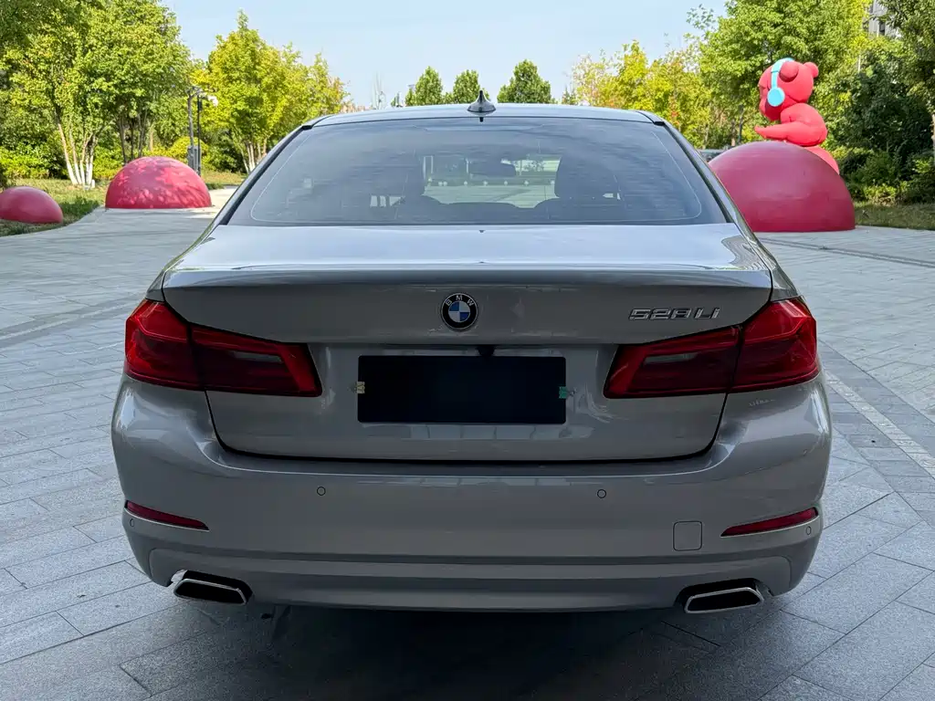 BMW 5 Series 5 2018 528Li