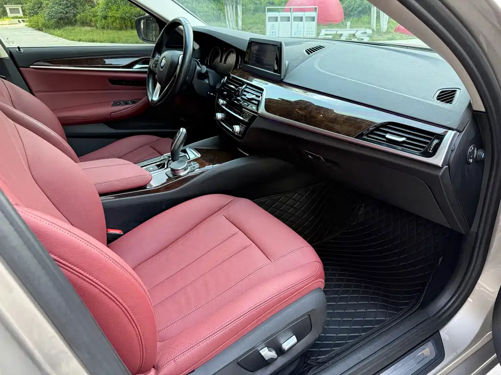 BMW 5 Series 5 2018 528Li