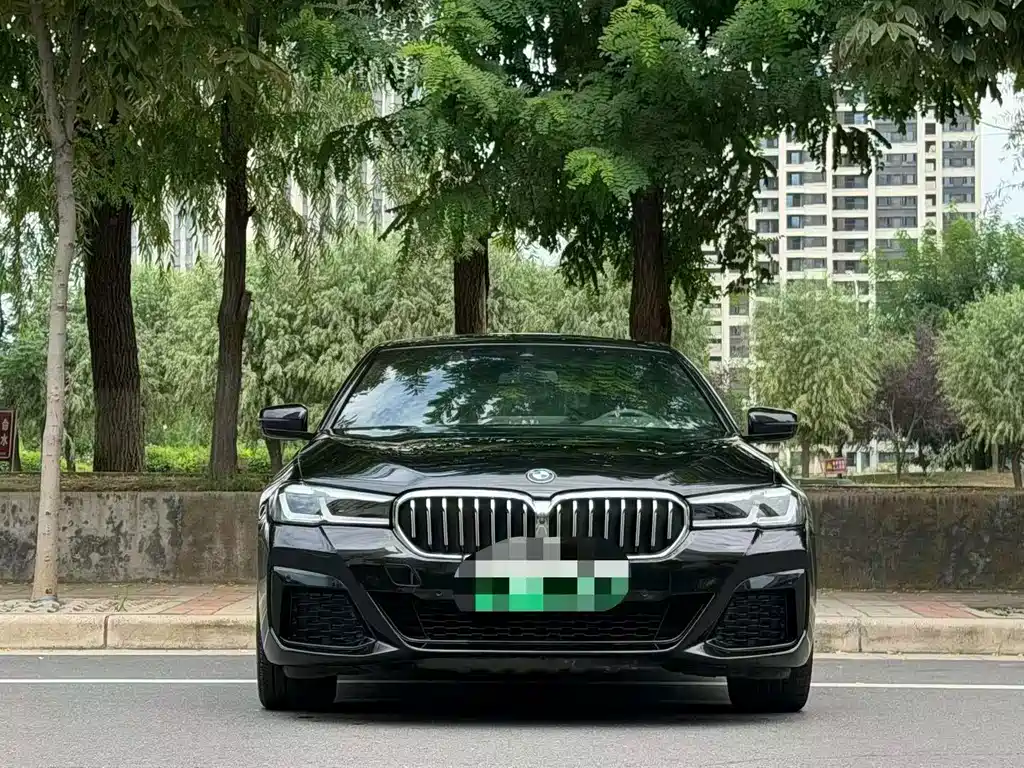 BMW 5 Series New Energy — миниатюра 2