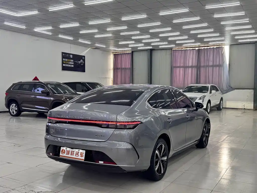 BYD Destroyer 05 — миниатюра 8
