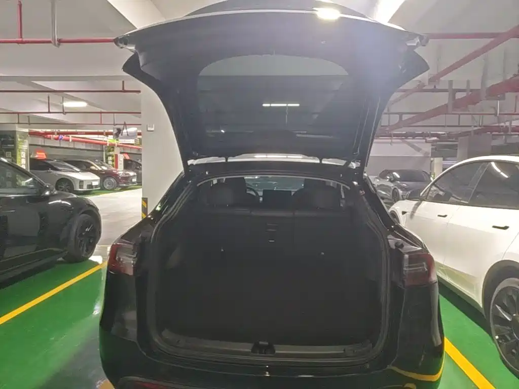 Tesla Model Y — миниатюра 19