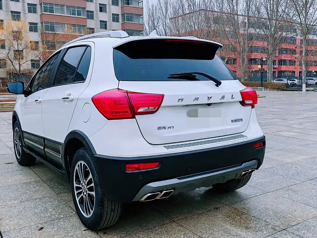 HAVAL H1