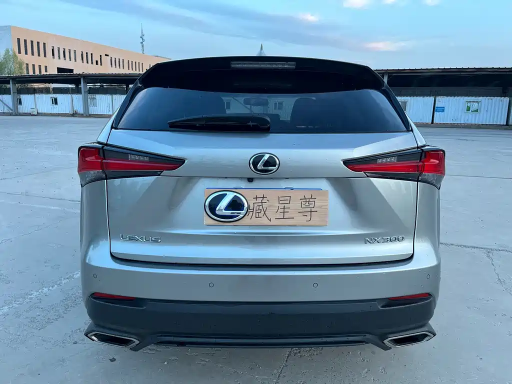 Lexus NX — миниатюра 37