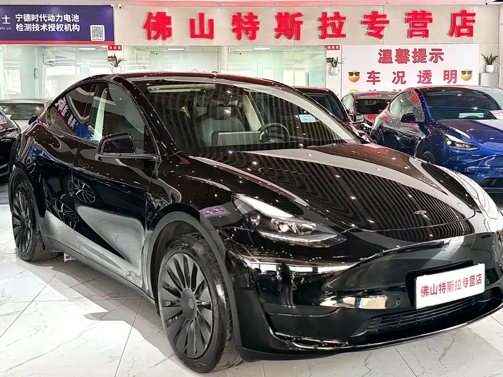 Tesla Model Y — миниатюра 2
